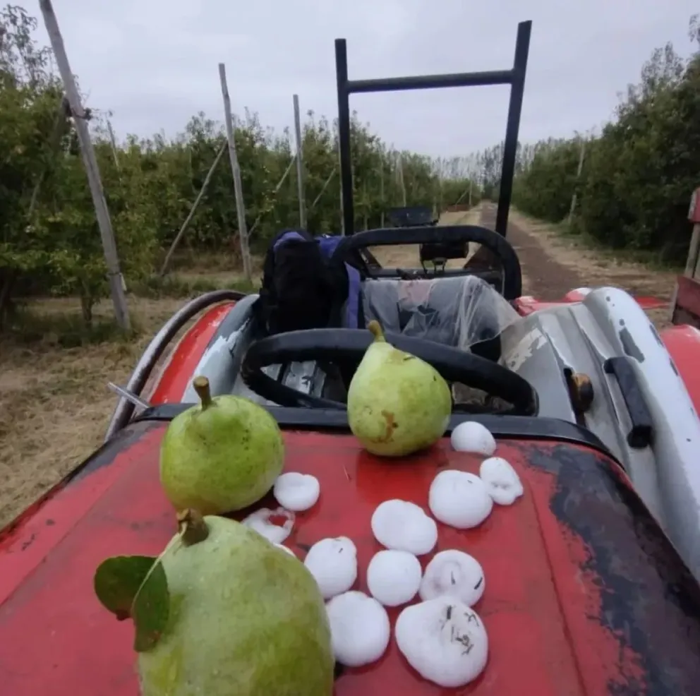 La caída se produjo alrededor de las 10 y duró pocos segundos. (Foto: Gentileza)
