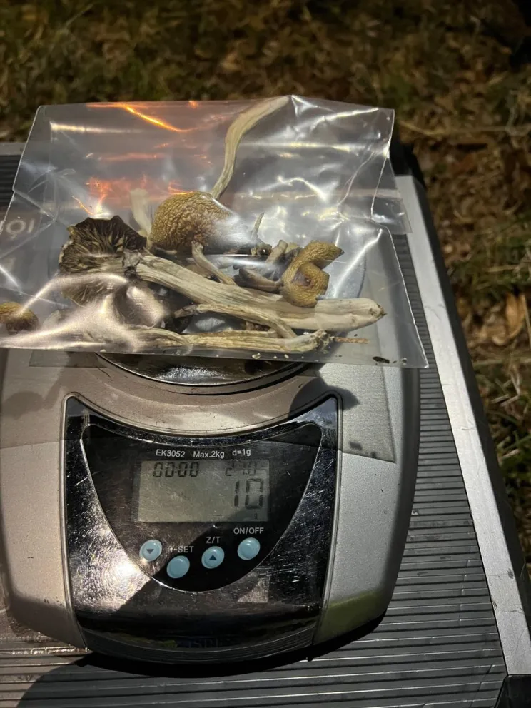 Matías detectó la presencia de posibles sustancias en el sector que ocupaban ambos hombres. Foto cortesía Policía de Allen