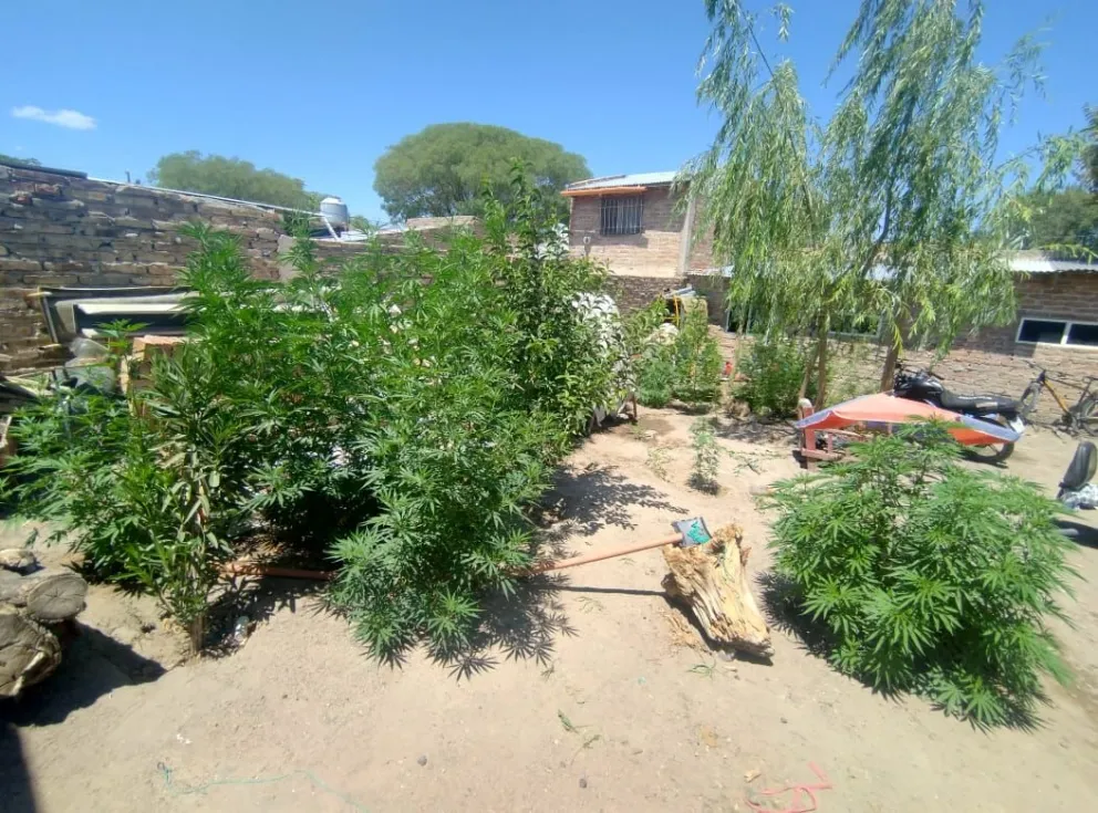 El operativo fue realizado con apoyo del grupo COER y efectivos de la Subcomisaría 69°. (Foto gentileza)