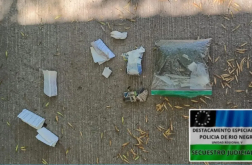 La droga fue secuestrada durante el operativo y quedó a disposición de la Justicia Federal. Foto: Policía de Río Negro