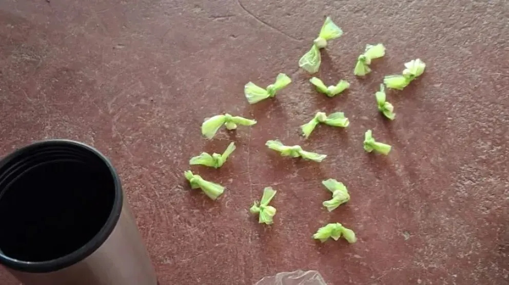 El procedimiento se realiz&oacute; en el sector conocido como El Rinc&oacute;n, en el barrio Tiro Federal de Roca, tras una investigaci&oacute;n iniciada por una denuncia an&oacute;nima. Foto: Gobierno de R&iacute;o Negro