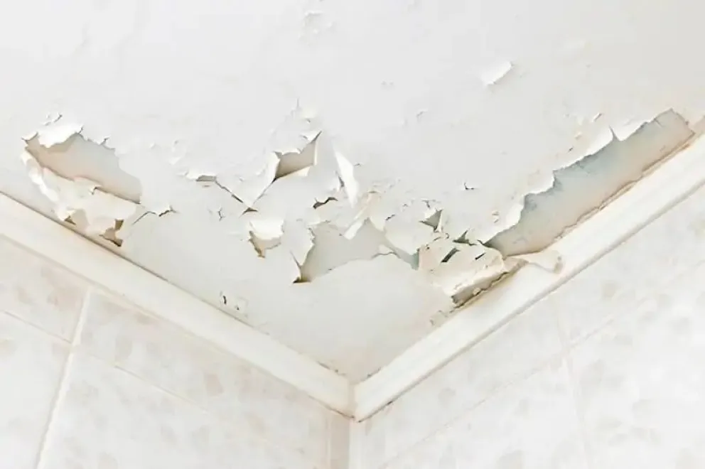 Vive con humedad y la justicia obligó a las dueñas de pisos superiores a hacer arreglos urgentes en las 500 Viviendas. Foto: ilustrativa.