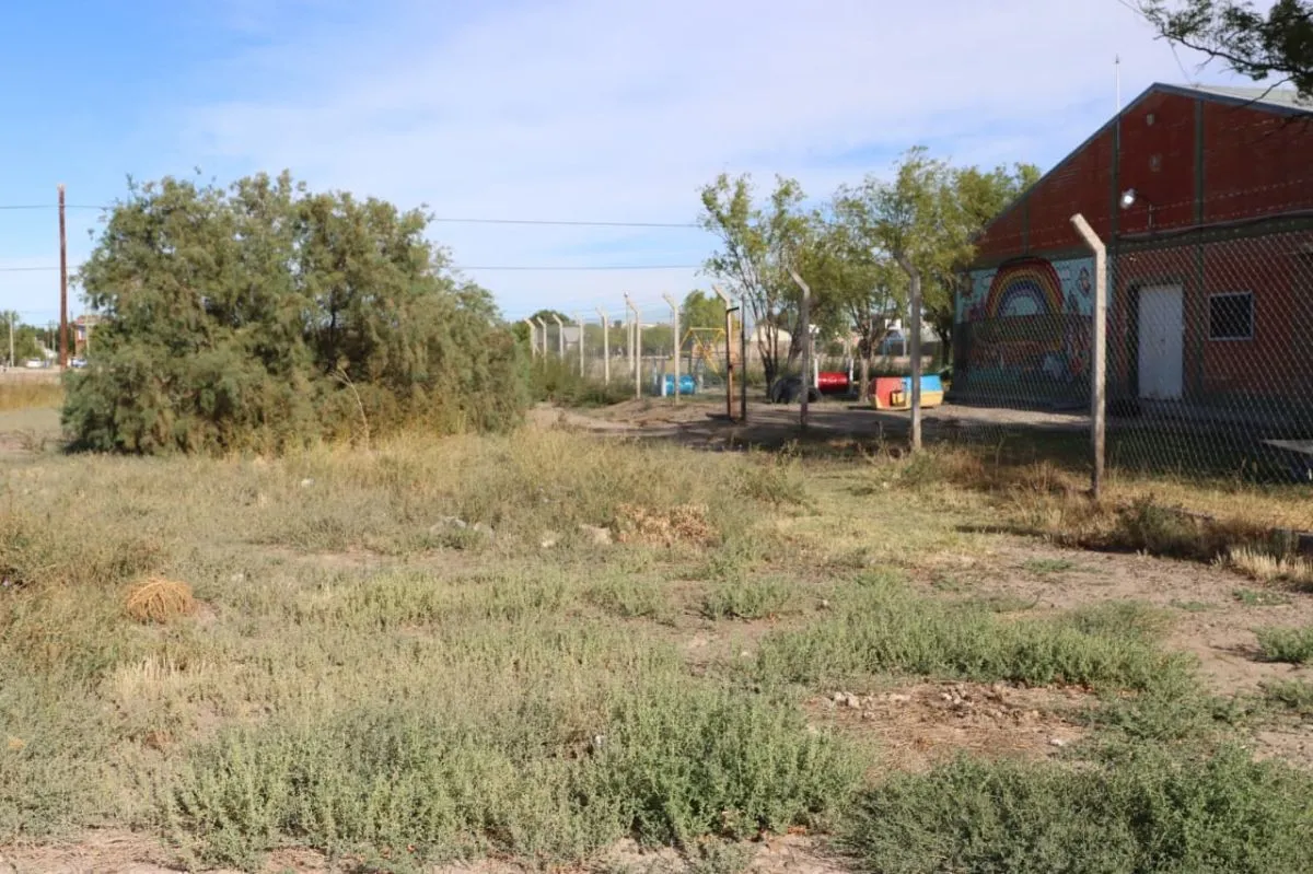 Al lado del jard&iacute;n tambi&eacute;n hay otro terreno donde la maleza crece. Foto: Tania Domenicucci