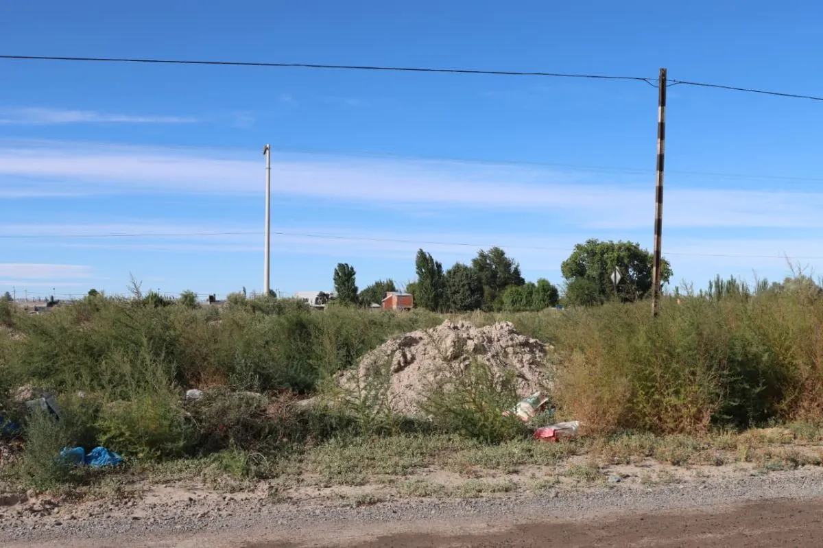 En calle 9 de julio tambi&eacute;n se ve la misma postal. Foto: Tania Domenicucci