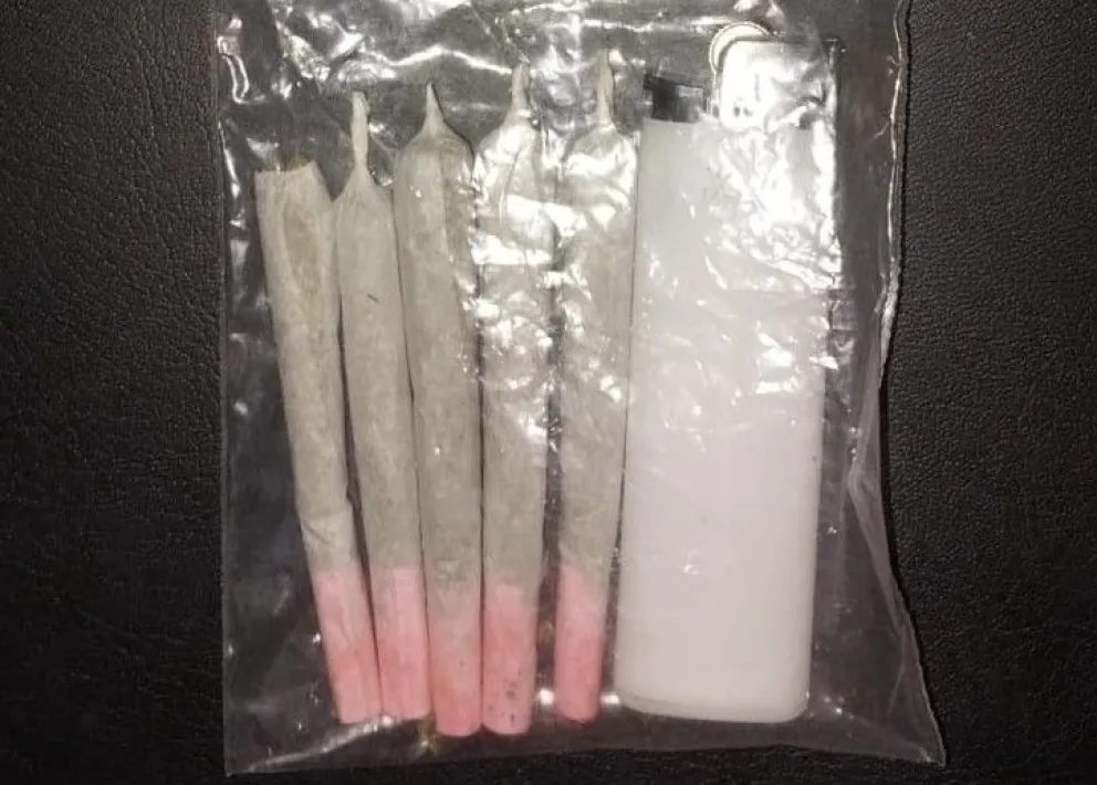 La Policía logró detectar y secuestrar distintas sustancias prohibidas, principalmente metanfetaminas y otras drogas sintéticas. (Foto: gentileza)