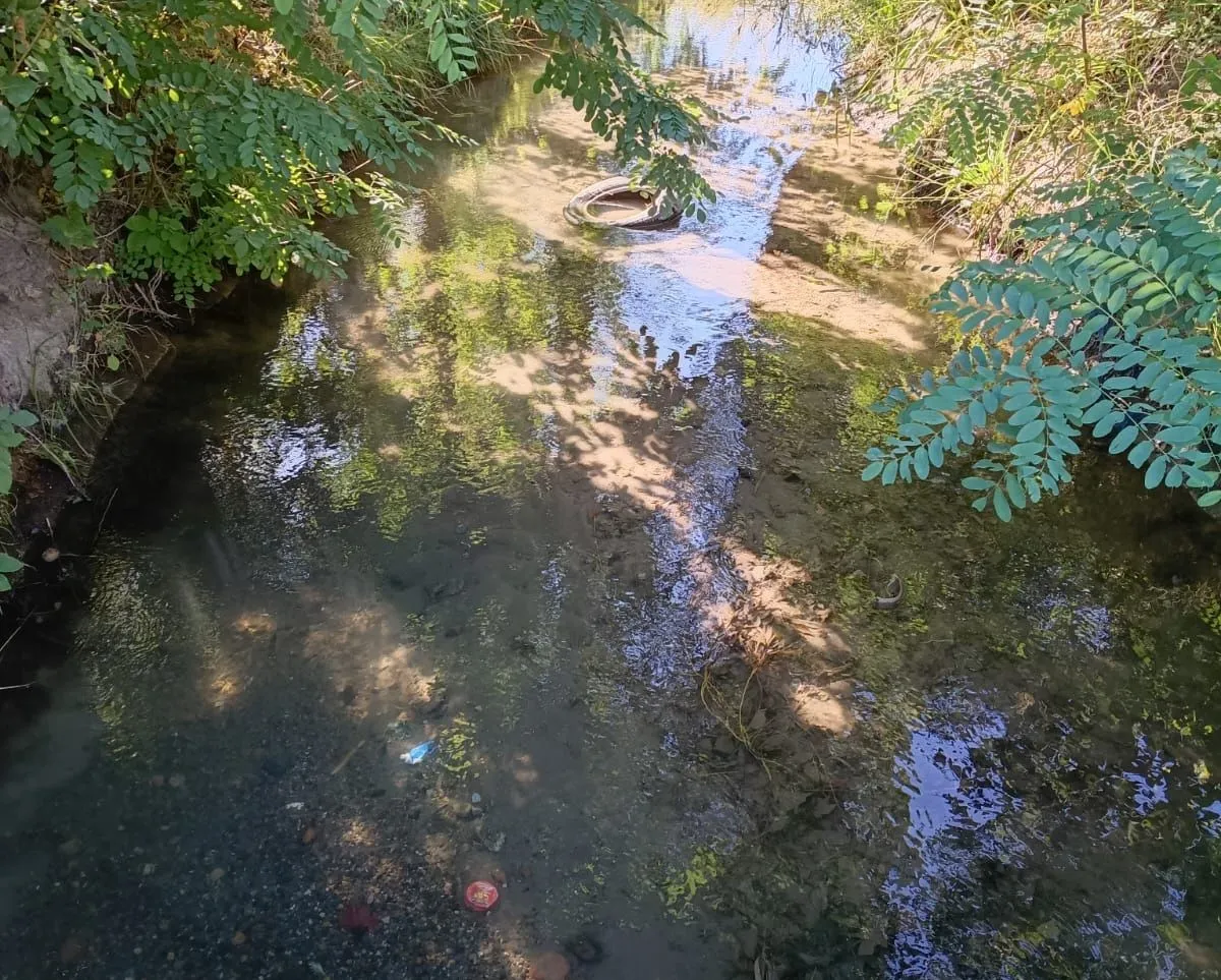 Dentro del agua, se puede ver cubiertas de auto y latas. Foto: ANR