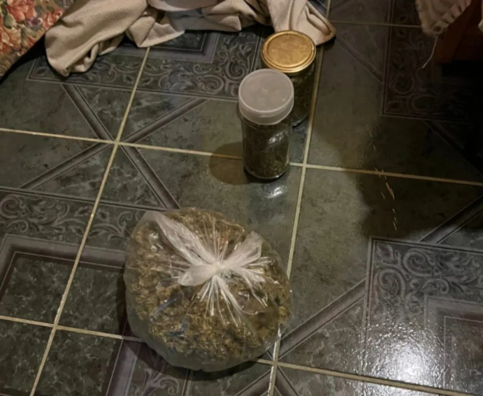 La marihuana secuestrada durante el allanamiento en una vivienda de Barrio Nuevo fue sometida a pesaje y test orientativo en el marco de la causa federal. Foto: Policía de Río Negro