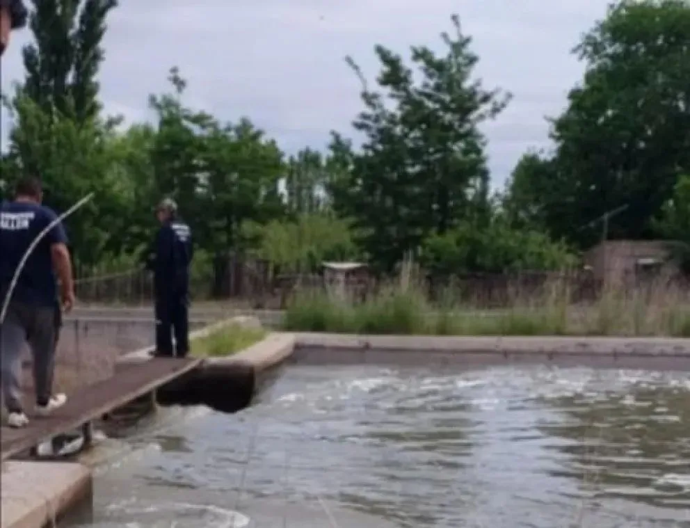 El cuerpo fue trasladado a la morgue de General Roca. Foto gentileza