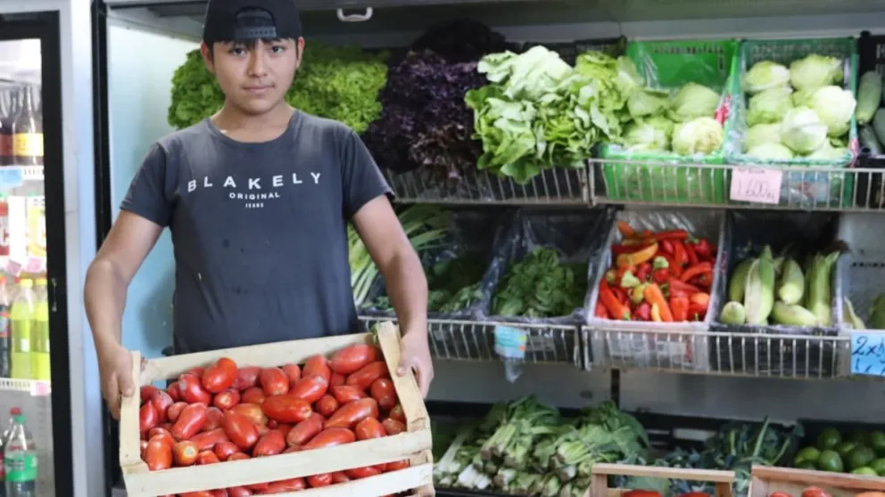 Vecinos y vecinas recorrerán las verdulerías de la ciudad en busca de precio y calidad. (Foto Tania Domenicucci)