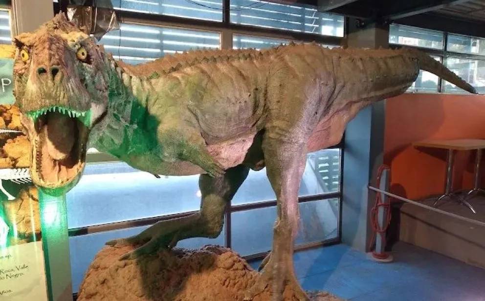 El Museo Patagónico de Ciencias Naturales tiene una atractiva muestra para los visitantes. Foto gentileza