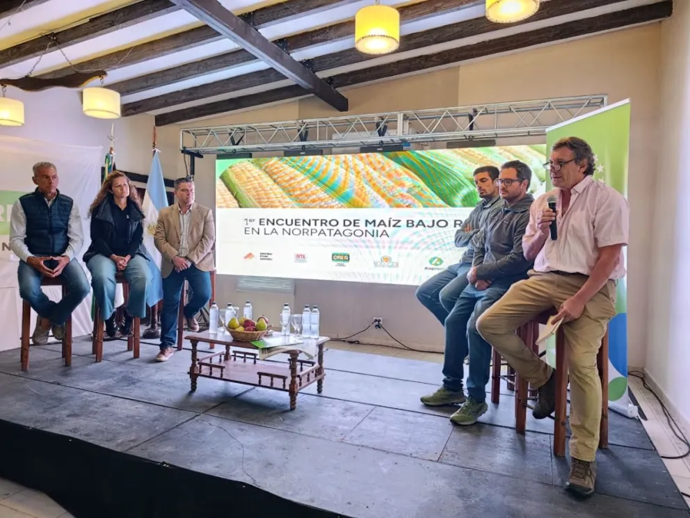 El primer Encuentro de Maíz bajo Riego reunió en Roca a productores, técnicos y especialistas para debatir el desarrollo del cultivo en la Norpatagonia. Foto: Tania Domenicucci-ANR