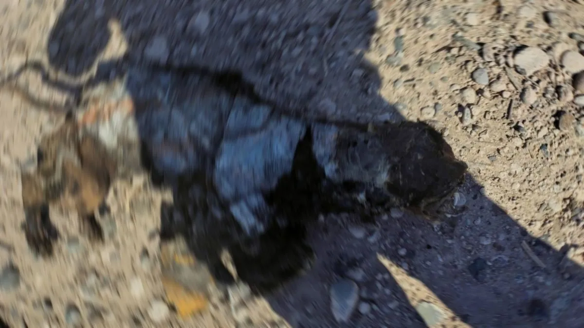 Se encontraba a pocos metros de la ruta 6