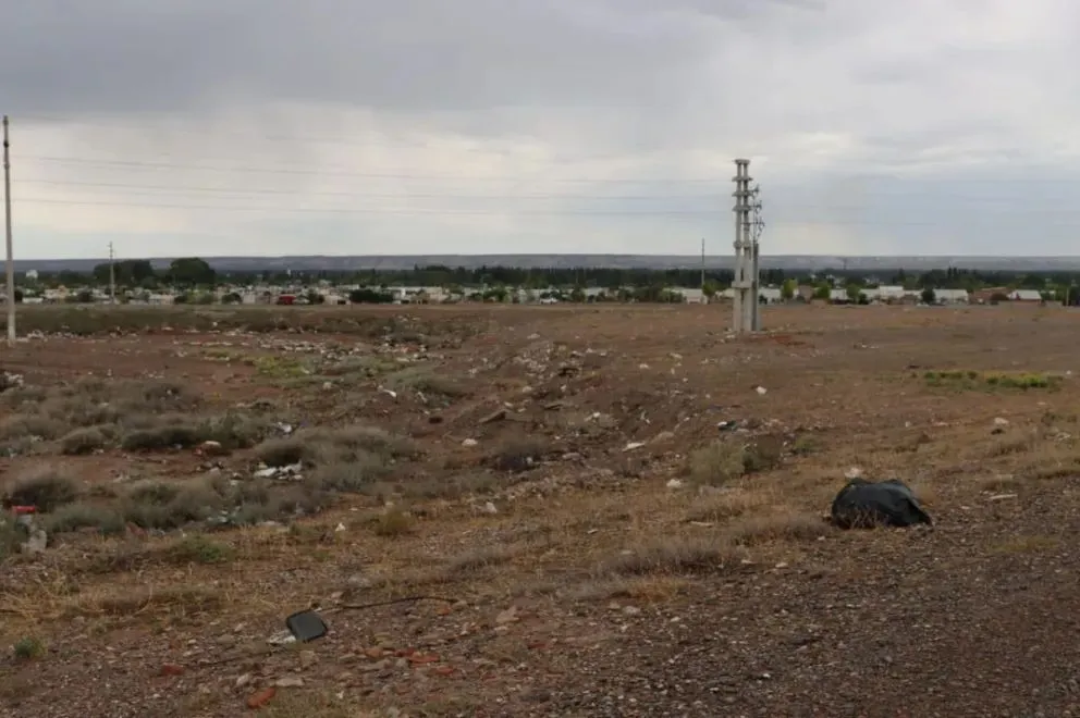 La zona donde fue hallada la perra suele ser convertida en un basural clandestino. Foto: Tania Domenicucci
