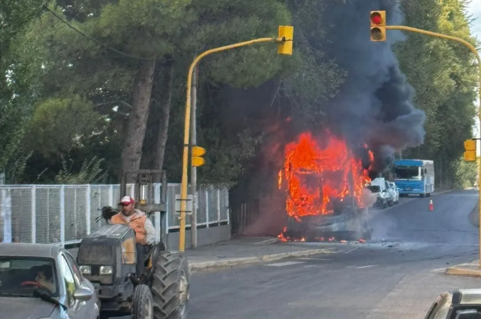 El hecho ocurrió hoy cerca de las 17 horas en cercanías al establecimiento escolar. (Goto: Gentileza)