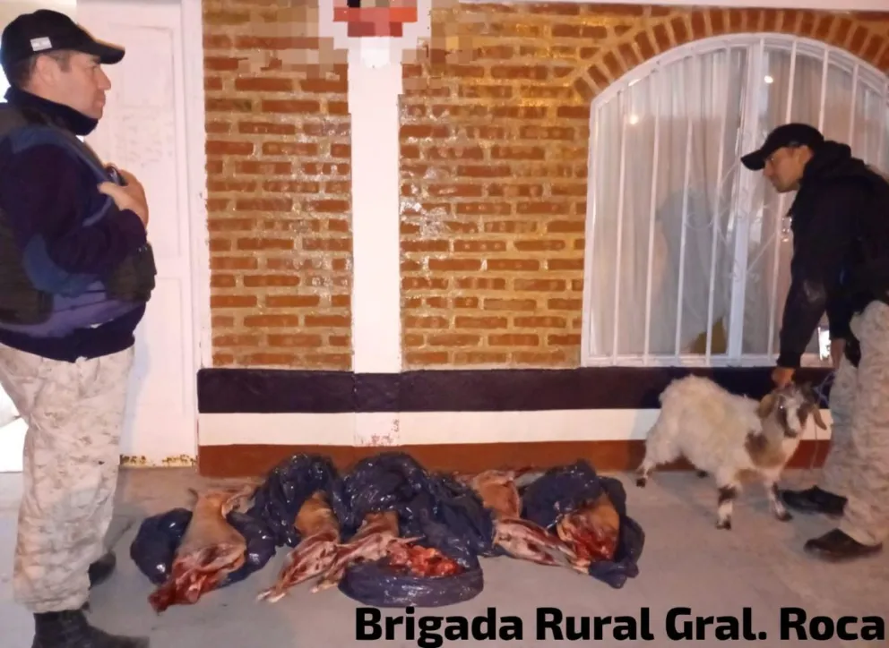 La carne faenada decomisada y el caprino que trasladaban. Foto: Policía de Río Negro