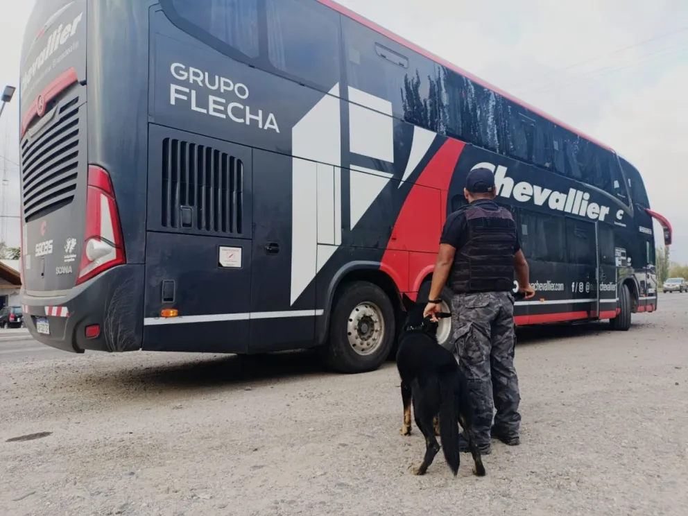 Tanto en la terminal de ómnibus de Roca como en ruta 22, se revisaron colectivos de larga distancia. 