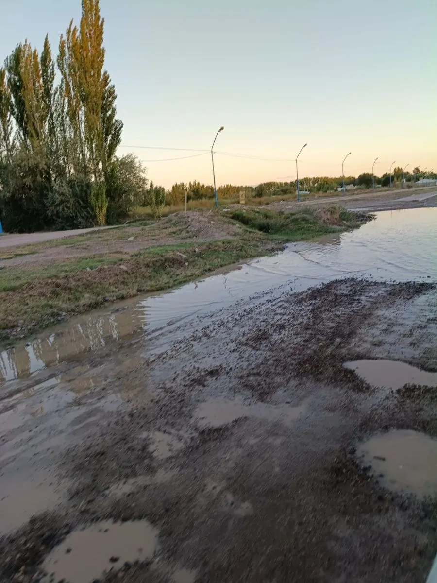 Los veh&iacute;culos tambi&eacute;n deben esquivar los pozos. Foto: ANR