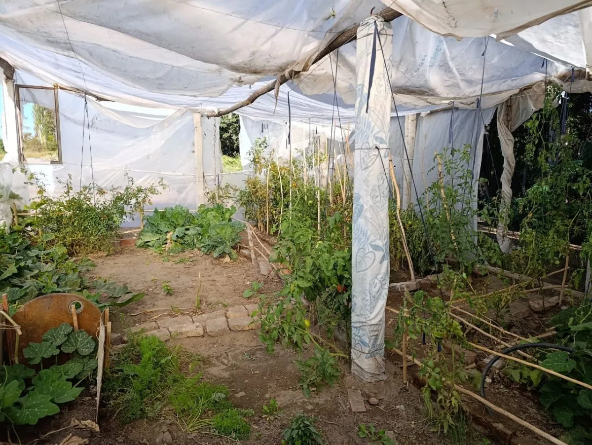 Las tareas simples &mdash;limpiar, ordenar, sostener el espacio&mdash; tambi&eacute;n son parte del tratamiento y de la vida en comunidad. Foto: Tania Domenicucci