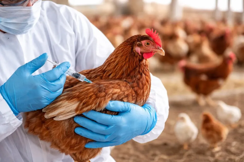 En Córdoba también detectaron casos. Foto archivo