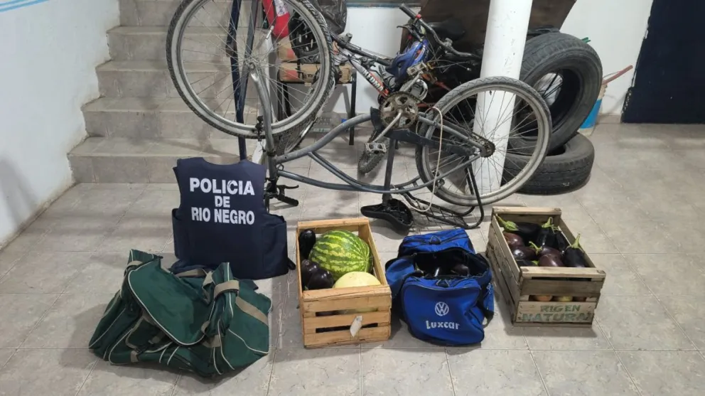 La mercadería fue secuestrada para luego ser devuelta a su propietario. Foto gentileza