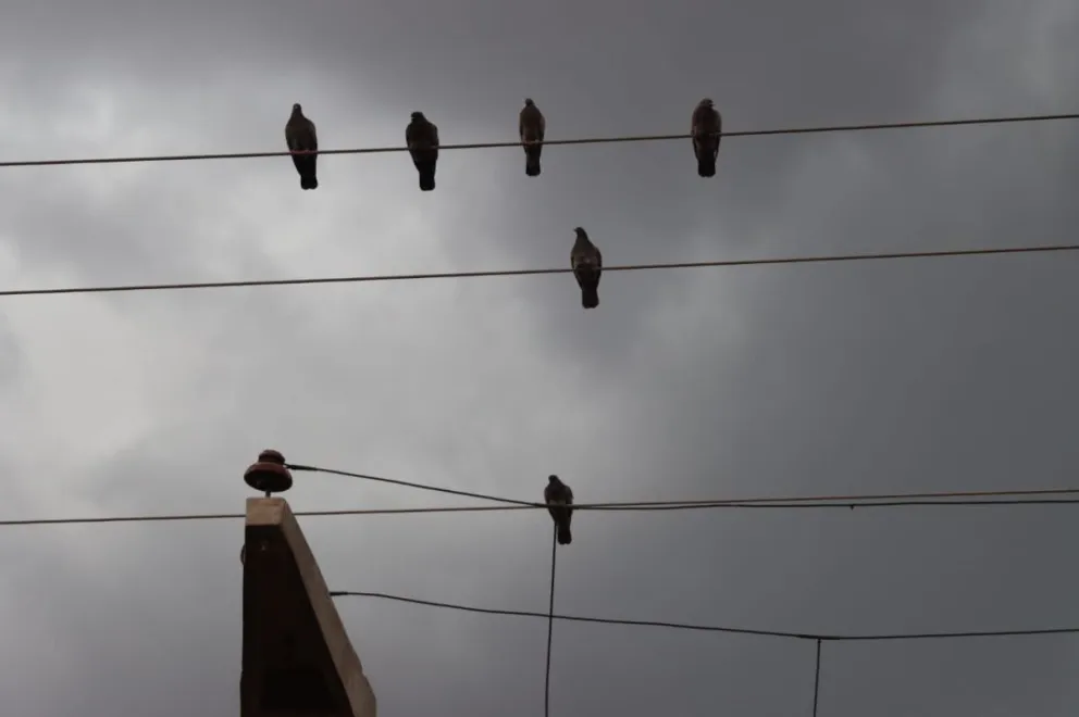 Aunque la semana comenzará con fuertes lluvias, se espera mayoría de días despejados para los próximos siete días. Foto Tania Domenicucci-ANR