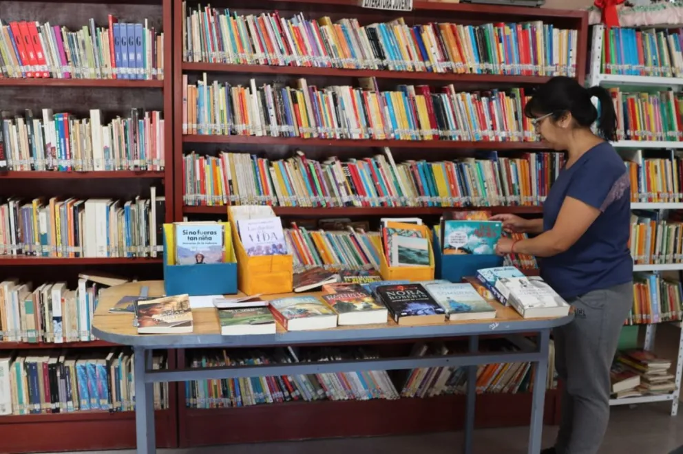 Liliana, la bibliotecaria de Crecer, llevando adelante las tareas de cada mañana. Foto: Tania Domenicucci
