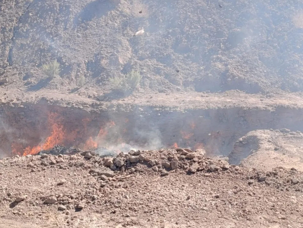 La incineración incluyó marihuana procesada y plantas de cannabis secuestradas en causas federales. Foto: archivo