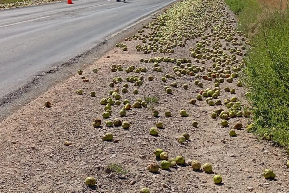 El camión transportaba bultos de peras y manzanas. Foto: archivo