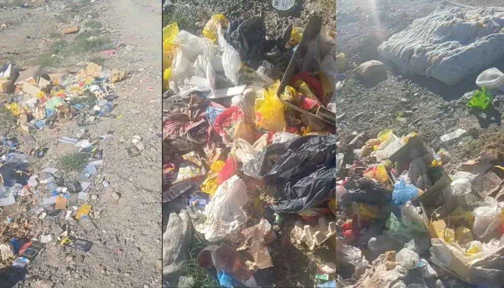 Las bolsas de plásticos y cajas de pollos es lo que más resalta entre la basura. 