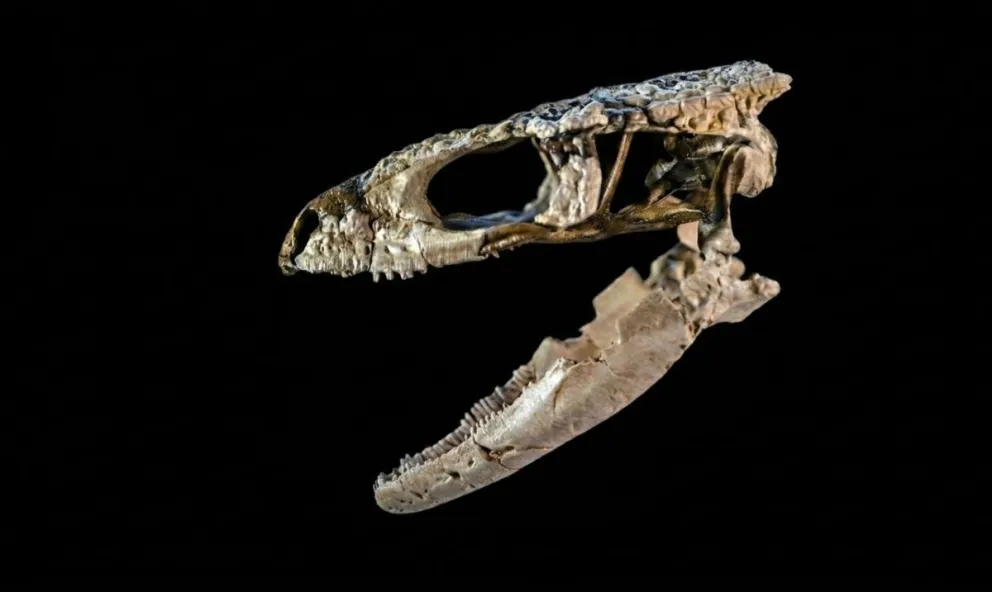 El evento se realizará el 21 de abril a las 11 horas. Foto gentileza