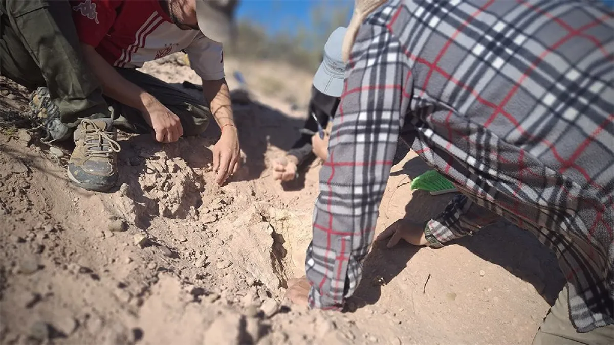 Quienes participaron de la campa&ntilde;a fueron investigadores y becarios del Conicet junto a estudiantes de la UNRN. Foto: Nahuel Aldir
