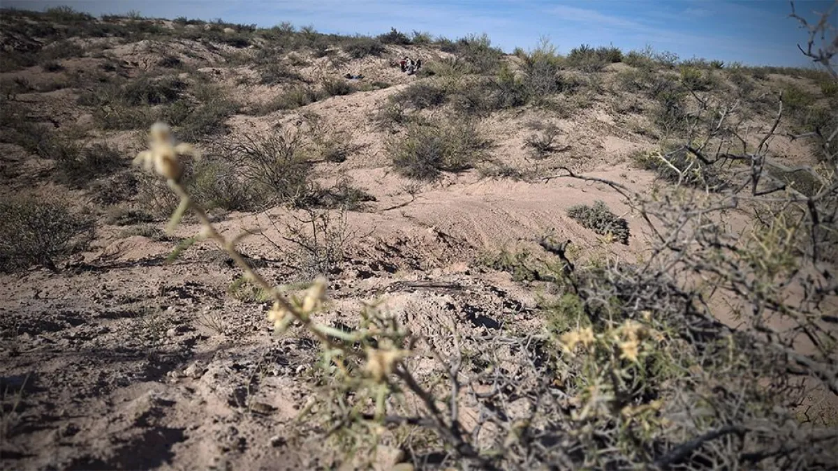 El &aacute;rea donde se realiz&oacute; el hallazgo. Foto: Nahuel Aldir