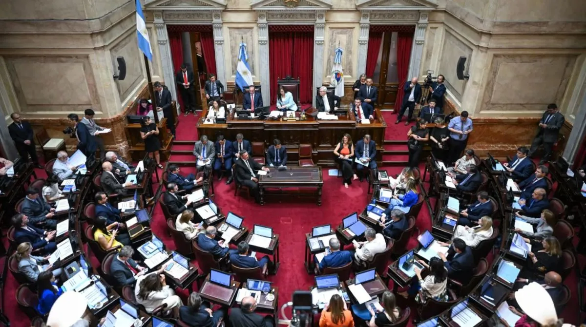 El Gobierno envió al Senado el proyecto de reforma electoral | ANR