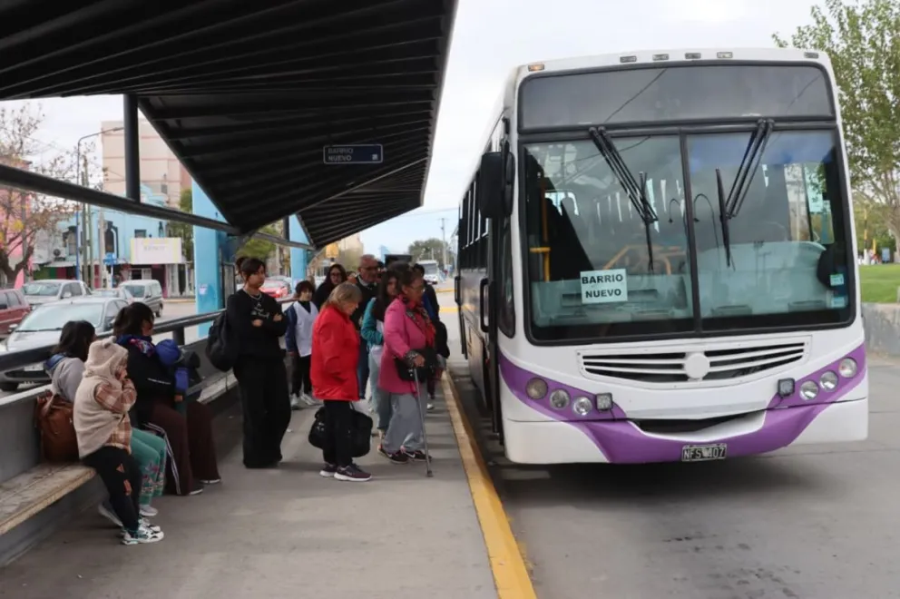 Se informó cómo será la frecuencia del servicio de colectivos urbanos para los dos días feriados previos al fin de semana. (Foto: Tania Domenicucci. ANRoca)