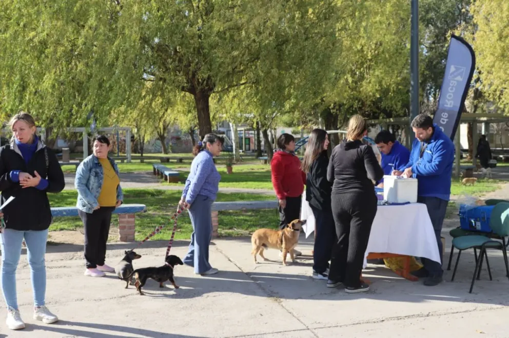 Desde temprano, vecinos se acercaron para vacunar a sus mascotas. Foto: Tania Domenicucci