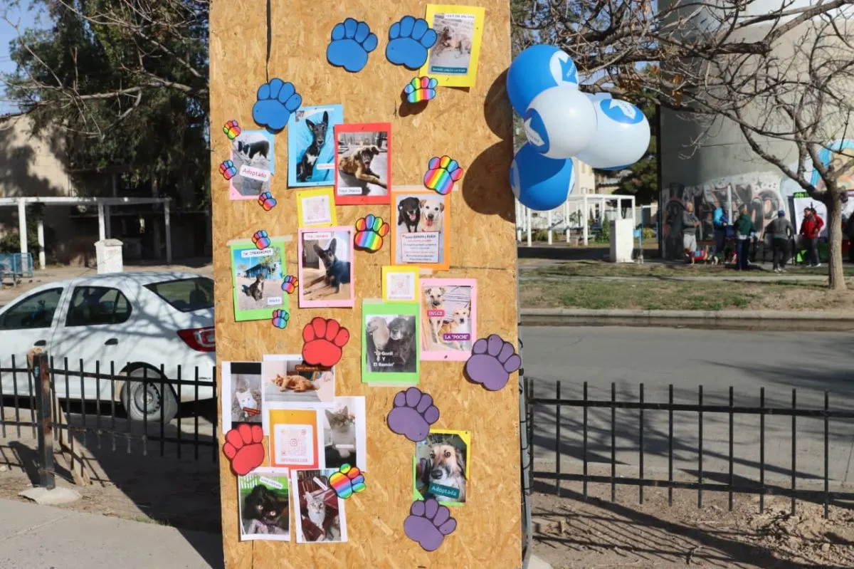 La exposici&oacute;n de los animales que se encuentran en adopci&oacute;n. Foto: Tania Domenicucci