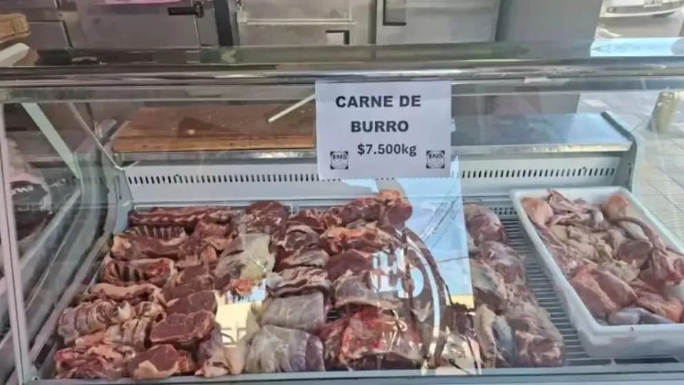 Siete mil quinientos pesos, es el valor con el que debutó como alternativa la carne de burro en Chubut. (Foto: web)