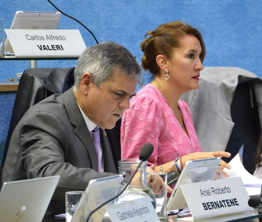 Los legisladores Lorena Matzen y Ariel Bernatene votaron a favor de los convenios con Southern Energy y San Matías Pipeline. (Foto: gentileza)