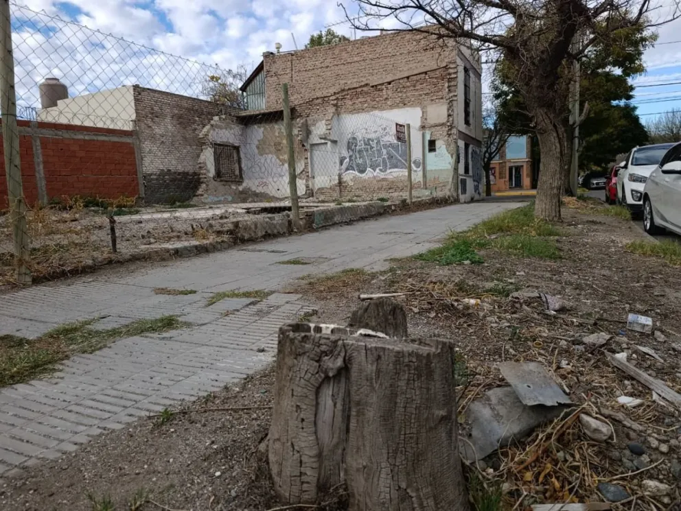 Las multas por incumplimientos al arbolado urbano podrán ser incorporadas directamente en la factura de tasas municipales, según establece la ordenanza. Foto Tania Domenicucci-ANR