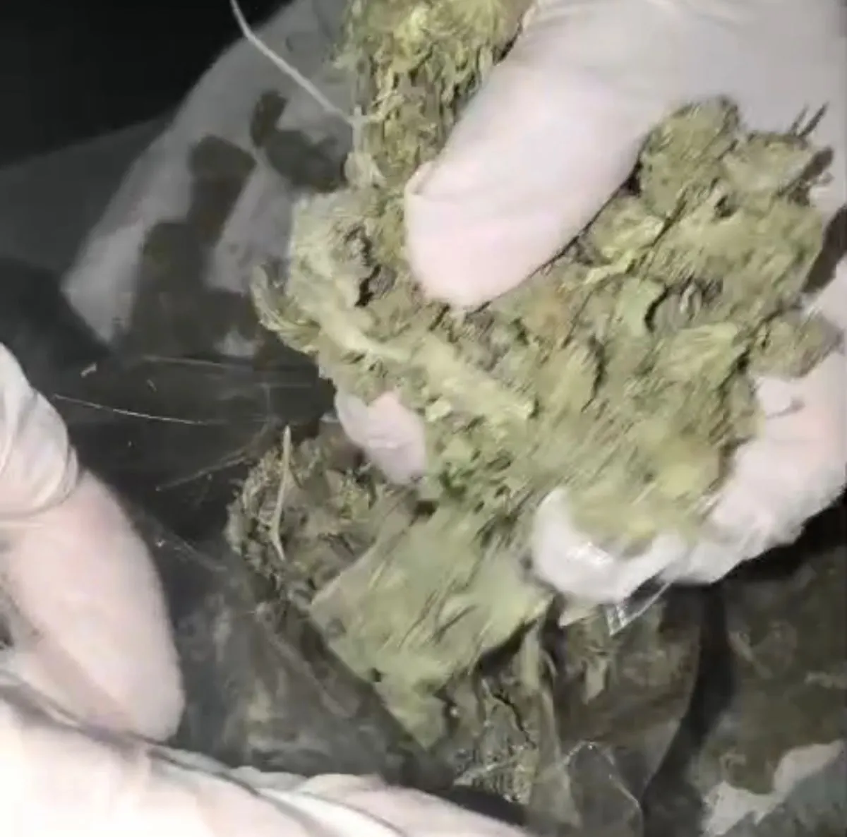 El traslado de la droga se investig&oacute; bajo la modalidad conocida como &ldquo;valijas verdes&rdquo;. Foto: Polic&iacute;a de R&iacute;o Negro