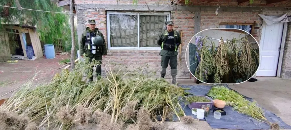 Gendarmería Nacional encabezó los allanamientos realizados este viernes en el Alto Valle, donde secuestraron más de 24 kilos de marihuana. Foto: Gendarmería Nacional