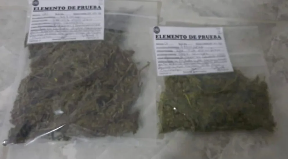 Tres personas quedaron vinculadas a la causa federal que inició gracias a la denuncia de vecinos, quienes informaron de "movimientos sumamente sospechosos" en alrededores de Chacramonte. Foto gentileza