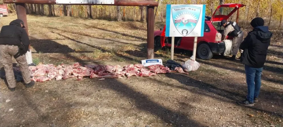 La carne de caballo y oveja era transportada sin refrigeración, sin documentación sanitaria y con signos de faena clandestina. Foto: Policía de Río Negro