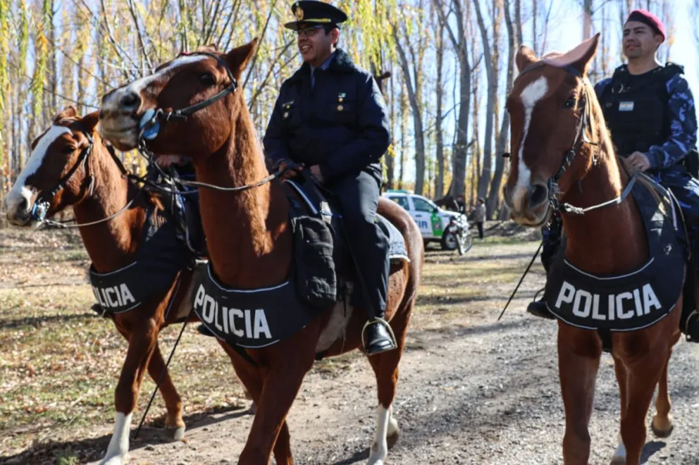 La Policía Montada destacó el vínculo que se genera entre los efectivos y los caballos, fundamentales tanto en operativos urbanos como en recorridas rurales. Foto Tania Domenicucci-ANR