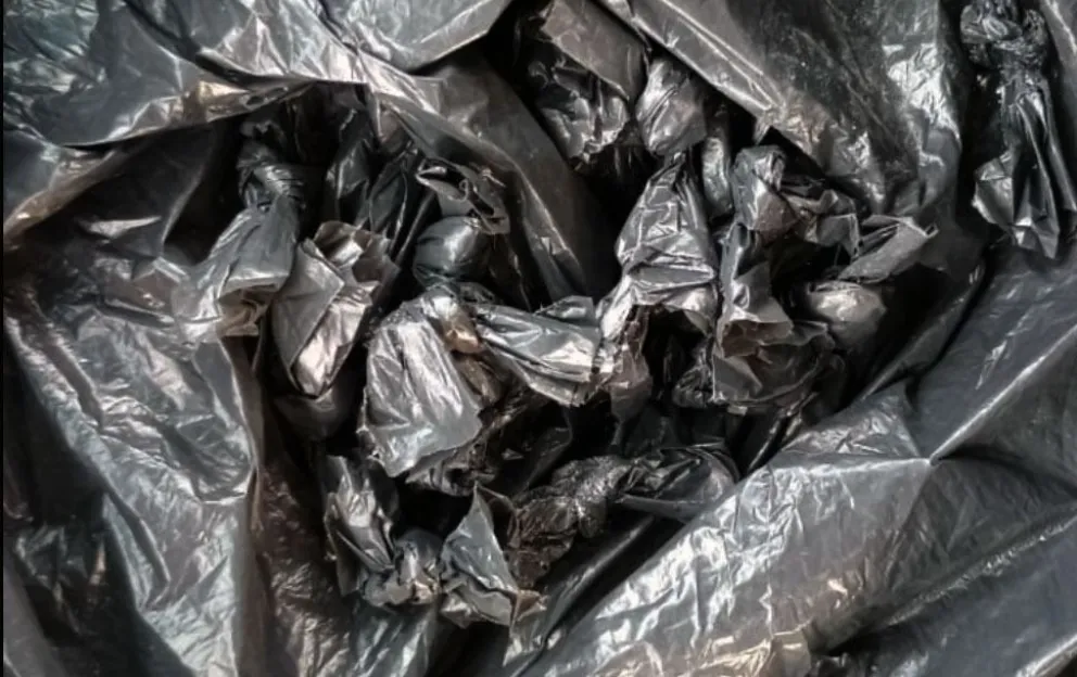 La coca&iacute;na estaba distribuida en distintos envoltorios dentro de una bolsa negra hallada en la camioneta. Foto: Polic&iacute;a de R&iacute;o Negro
