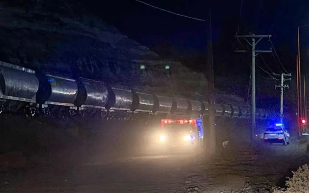 La formación del tren de cargas arrolló a un hombre en el ingreso oeste a Villa Regina. Foto: gentileza
