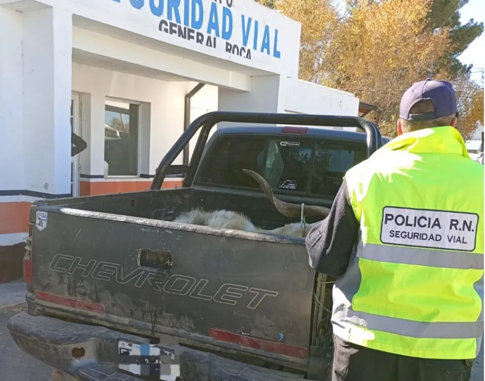 Los controles fueron realizados por personal del Cuerpo de Seguridad Vial sobre Ruta 22 y en distintos sectores de General Roca y Cervantes. Foto gentileza Policía de Rio Negro