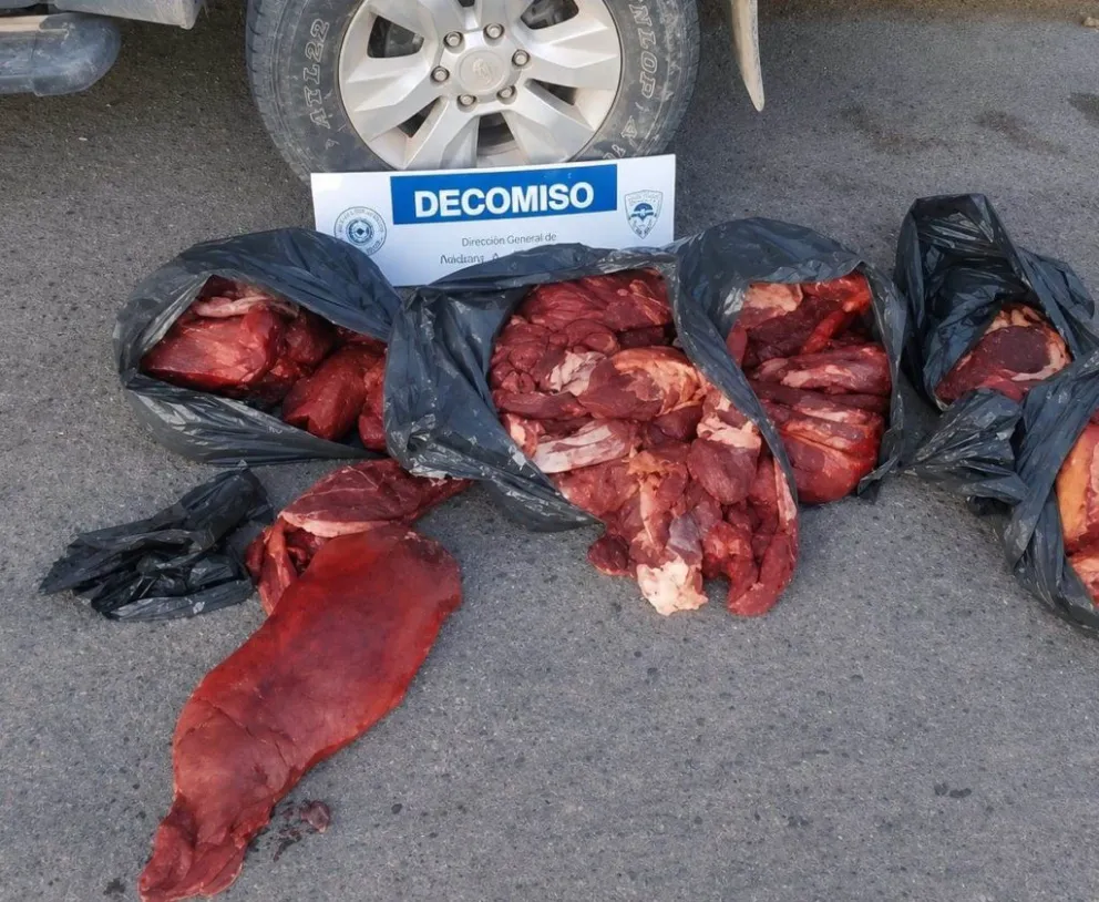 La carne vacuna era transportada sin documentación, sin cadena de frío y sin controles sanitarios. Fue decomisada e incinerada en Paso Córdoba. Foto Tania gentileza Policia de Rio Negro
