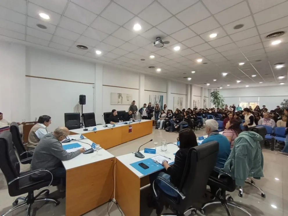 El debate por el nuevo Código de Tránsito y los proyectos vinculados a imputabilidad, salud y falsas denuncias atravesó la sesión del Concejo Deliberante de Roca. Foto: Tania Domenicucci