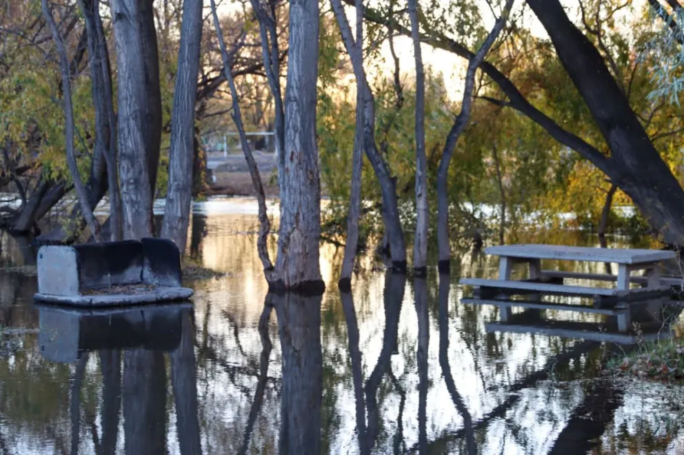 El agua ya afectó la zona ribereña norte del río en Paso Córdoba. Foto Tania Domenicucci